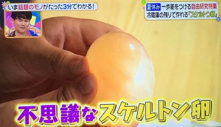 スケルトン卵