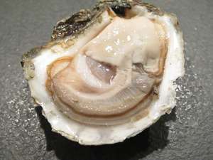 【相葉マナブ】牡蠣の万能カクテルソースのレシピ。東京湾で穫れる初夏の魚介類（6月30日）