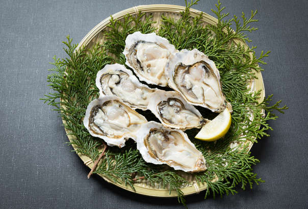 【青空レストラン】八木田オイスター（旅する牡蠣）のお取り寄せ＆レシピ。静岡県浜松市の極上カキ（1月17日）