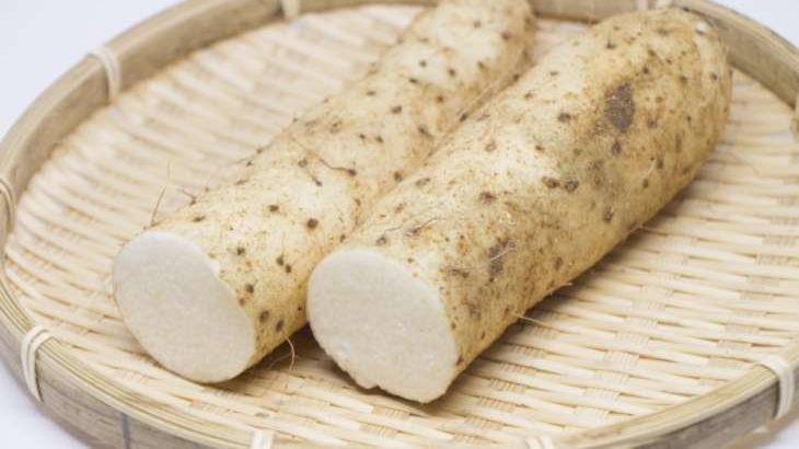 【あさイチ】長芋の皮ごとサイコロステーキのレシピ。コウケンテツさんの食品ロスほぼゼロレシピ（6月29日）