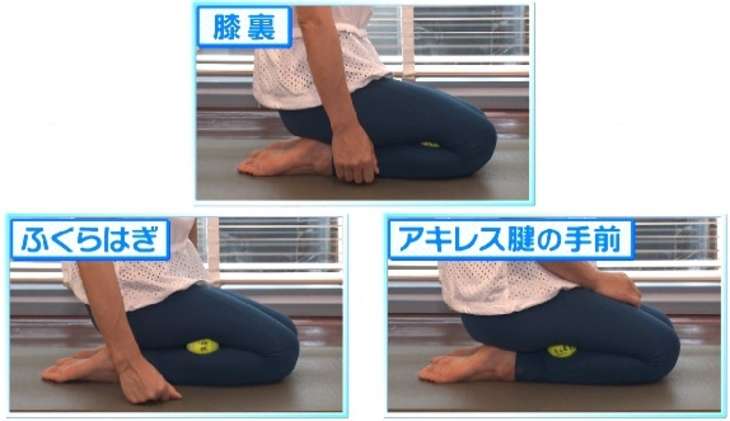 テニスボールダイエット やり方と効果まとめ Kaoru カオル 先生の筋膜リリースで美ボディに 8月15日