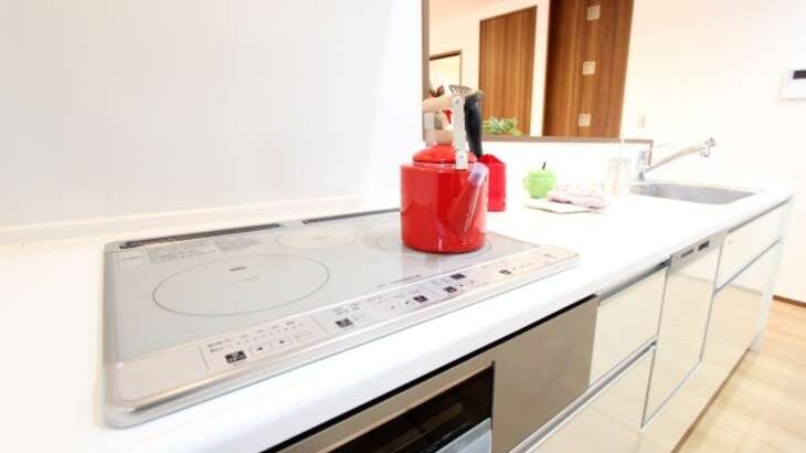 ヒルナンデス 電子レンジ一体化ihクッキングヒーター レンジグリルih の通販 お取り寄せ情報 松橋