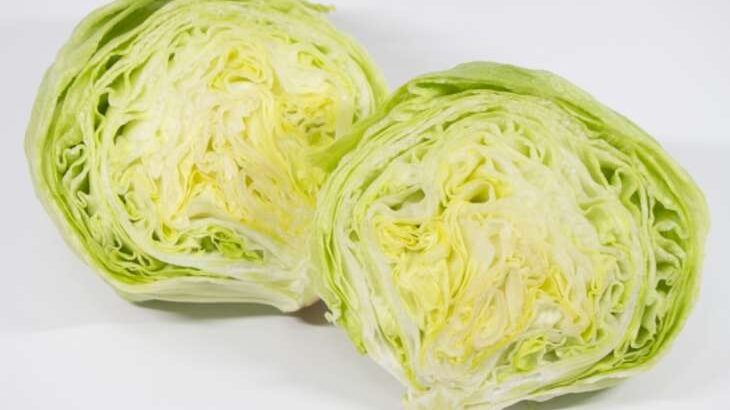 家事ヤロウ レタスステーキのレシピ 北風ミシェルさんの絶品レタス料理 3月18