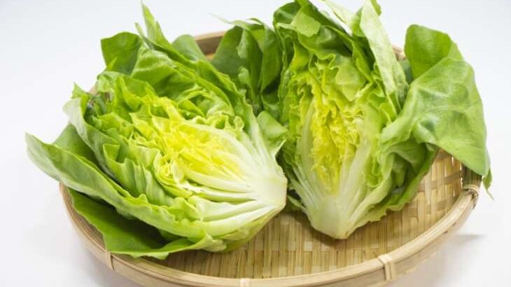 きょうの料理 タサン志麻さんの丸ごとサラダのレシピ 6月7日