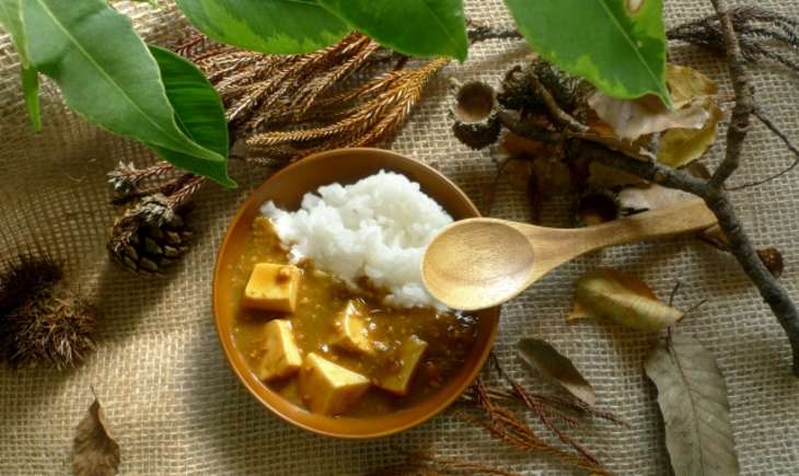 ヒルナンデス厚揚げカレー
