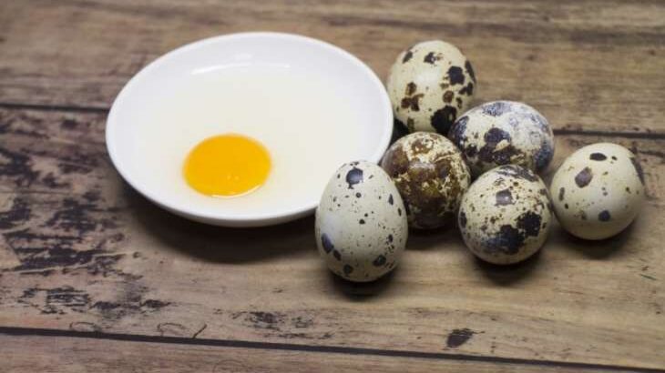 【青空レストラン】うずらの卵＆うずら肉のお取り寄せ。愛知県豊橋市の三河山吹うずら（12月18日）