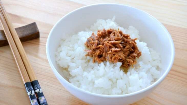 【ゼロイチ】サバ缶で！ご飯のお供のレシピ。IKKOさん万能冷蔵庫レシピ（4月16日）