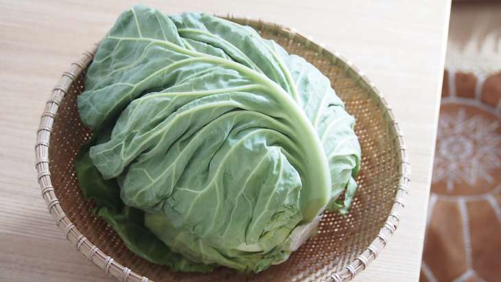 【青空レストラン】春キャベツのレシピまとめ。兵庫県神戸の旬野菜（4月23日）