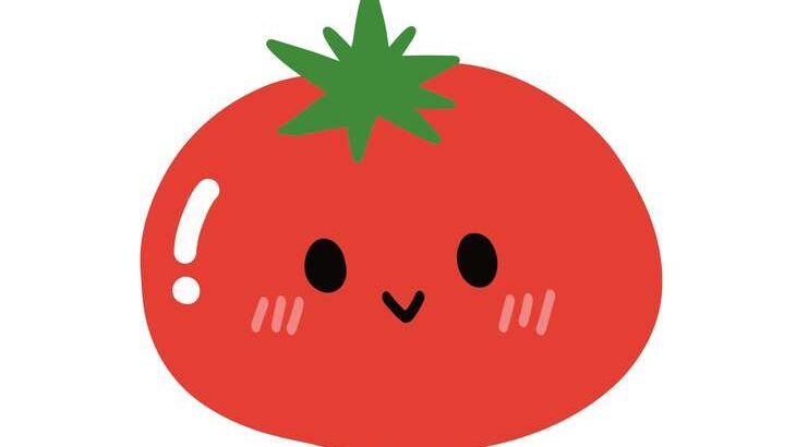 【相葉マナブ】トマトの極上レシピまとめ。練馬区のトマトで旬の産地ごはん（6月26日）