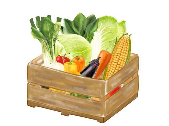 【ヒルナンデス】ふぞろい野菜おためしセットのお取り寄せ。らでぃっしゅぼーやのお得な詰め合わせとは？（6月29日）