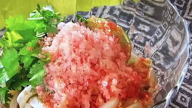 【所さんお届けモノです】シャリシャリトマトの東南アジア風ぶっかけうどんのレシピ。冷凍うどんアレンジ（8月27日）