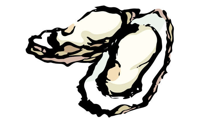 【相葉マナブ】美味しい牡蠣が食べたい！宮城県松島のカキで絶品レシピまとめ（1月15日）