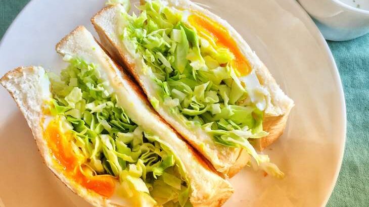 【DayDay.】コールスローのサンドイッチのレシピ。春キャベツ使い切りアイデア料理【デイデイ】（3月21日）