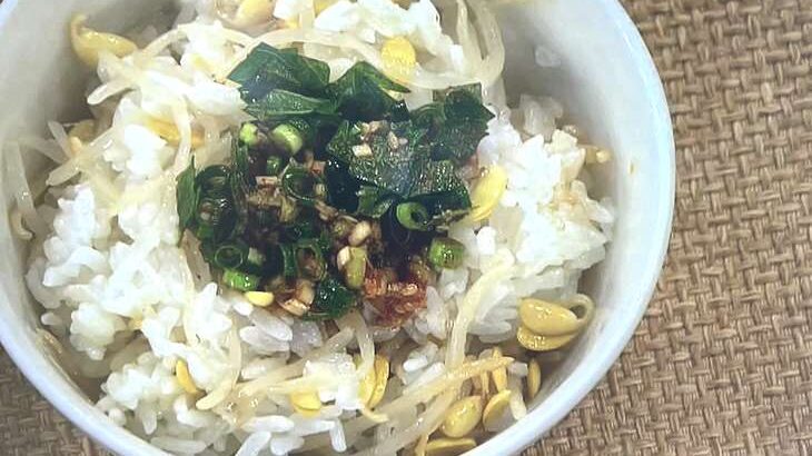 【あさイチ】豆もやしご飯のレシピ。万能ピリ辛薬味だれで簡単！みんなゴハンだよ（4月10日）