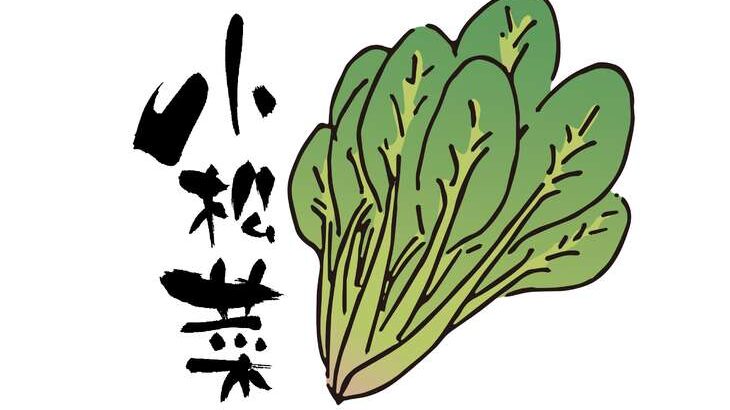 【青空レストラン】小松菜のお取り寄せ＆レシピ。江戸川区の伝統野菜（4月15日）