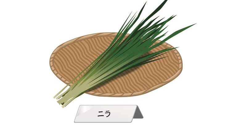 【相葉マナブ】ニラの絶品レシピまとめ。千葉県山武市のにらで旬の産地ご飯（5月14日）