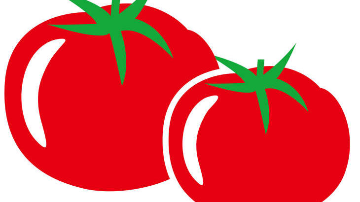 【相葉マナブ】北本トマトの極上レシピまとめ。埼玉県北本市で旬の産地ご飯（5月28日）