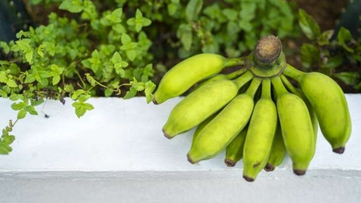 【青空レストラン】アップルバナナの通販お取り寄せ＆レシピ。沖縄県の幻バナナ（6月17日）