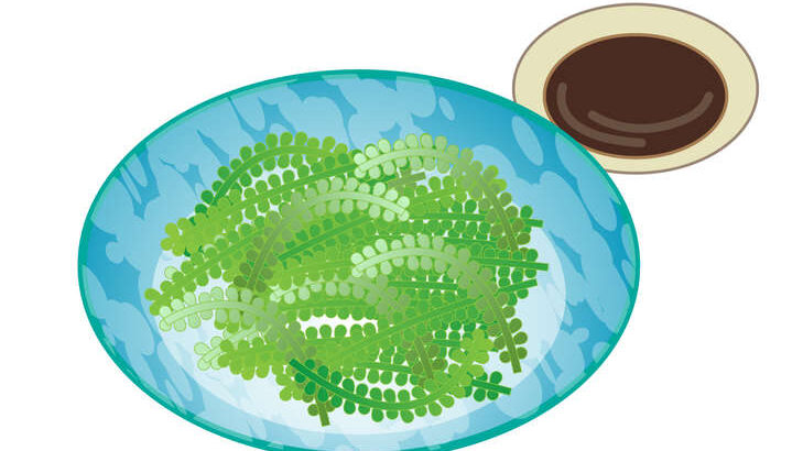 【青空レストラン】海ぶどう通販・お取り寄せ。プチプチが美味しい沖縄県恩納村の人気食材（6月24日）