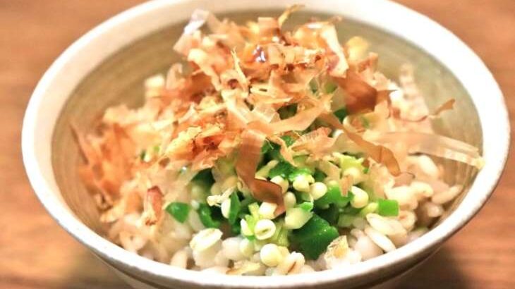 【相葉マナブ】無限豆腐のレシピ。大原千鶴さんの絶品のっけ飯（9月24日）