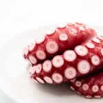【サタプラ】明石だこ絶品レシピまとめ。正門良規さんの旬を味わうレシピ交換旅（8月8日）