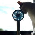 【サタプラ】ハンディファンひたすら試してランキング！話題の携帯扇風機12種類をガチ採点【サタデープラス】（6月28日）
