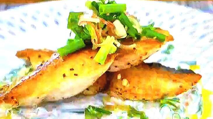 【沸騰ワード】サワラの薬味ヨーグルトのレシピ。志麻さん夏のスタミナ料理（6月27日）
