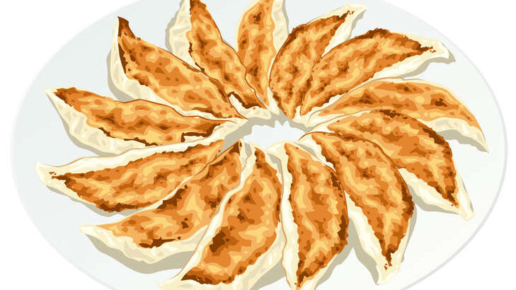 【家事ヤロウ】和田明日香さんの絶対失敗しないメシまとめ。定番料理の悩み解決レシピ（7月8日）