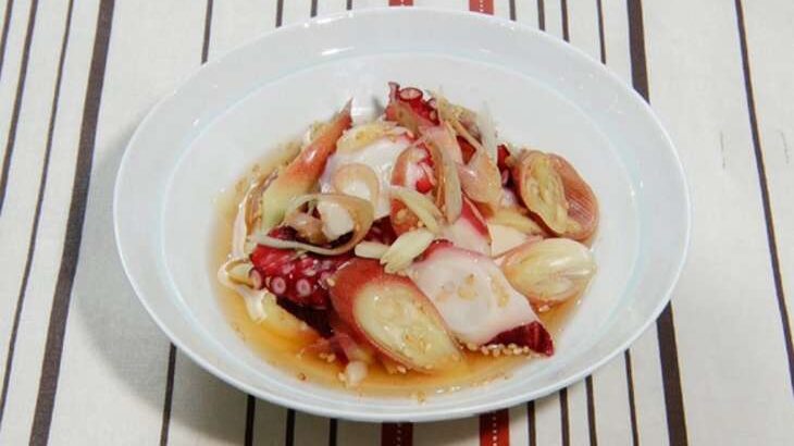【DayDay】たことみょうがの酸っぱいマリネのレシピ。夏に助かる時短料理！亜希のざっくりキッチン（8月7日）