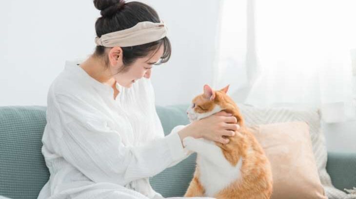 【ザワつく金曜日】究極の快適パジャマ「至高の逸品 極細和紙糸コットン パジャマ」の通販お取り寄せ。快眠！寝具4選（9月5日）