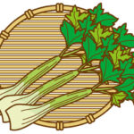 【青空レストラン】朝採れセルリー（セロリ）のお取り寄せ＆レシピ。長野・諏訪の極上食材（9月6日）