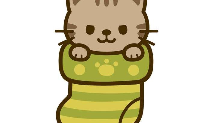 【サタプラ】あったか靴下ひたすら試してランキング！話題の12種類をガチ採点【サタデープラス】（11月29日）