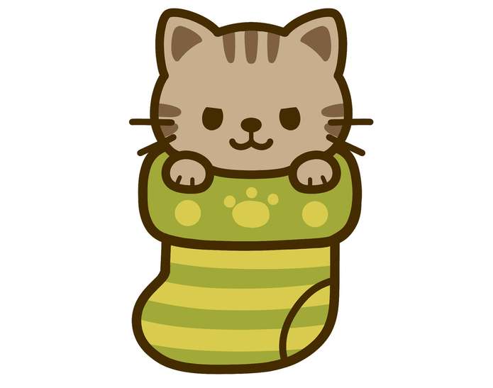 靴下に入った猫