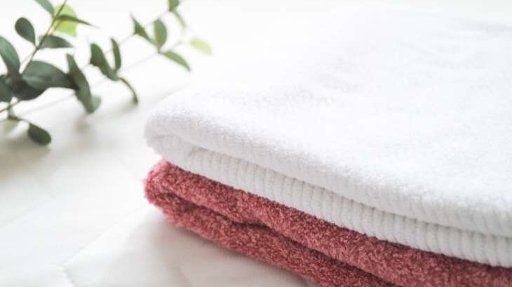 【サタプラ】バスタオルひたすら試してランキング！話題の13種類をガチ採点【サタデープラス】（1月31日）