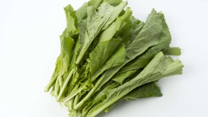 【青空レストラン】土気からし菜の購入方法・お取り寄せ＆レシピ。千葉市で育つ伝統野菜（2月28日）