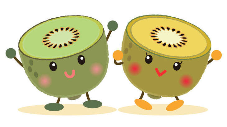 【トリセツショー】キウイのトリセツまとめ。新感覚レシピ＆便秘改善効果（4月2日）