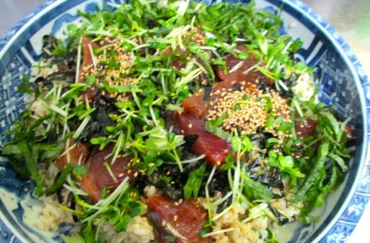 かつおの手ごね寿司