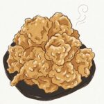 【オモウマい店】兵庫・姫路市でキャッスルから揚げ！「白めし爆食処 姫路 一本堂」お店情報まとめ（8月25日）